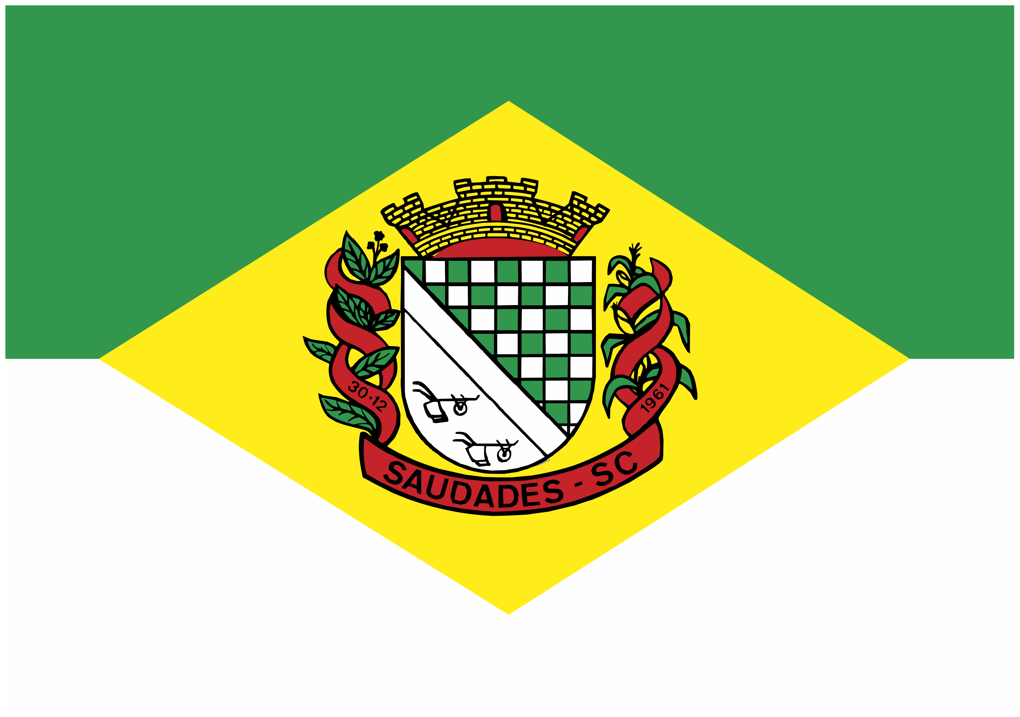 Bandeira Do Município Município De Saudades