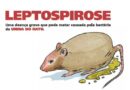 Cuidado principal deve ser com a leptospirose