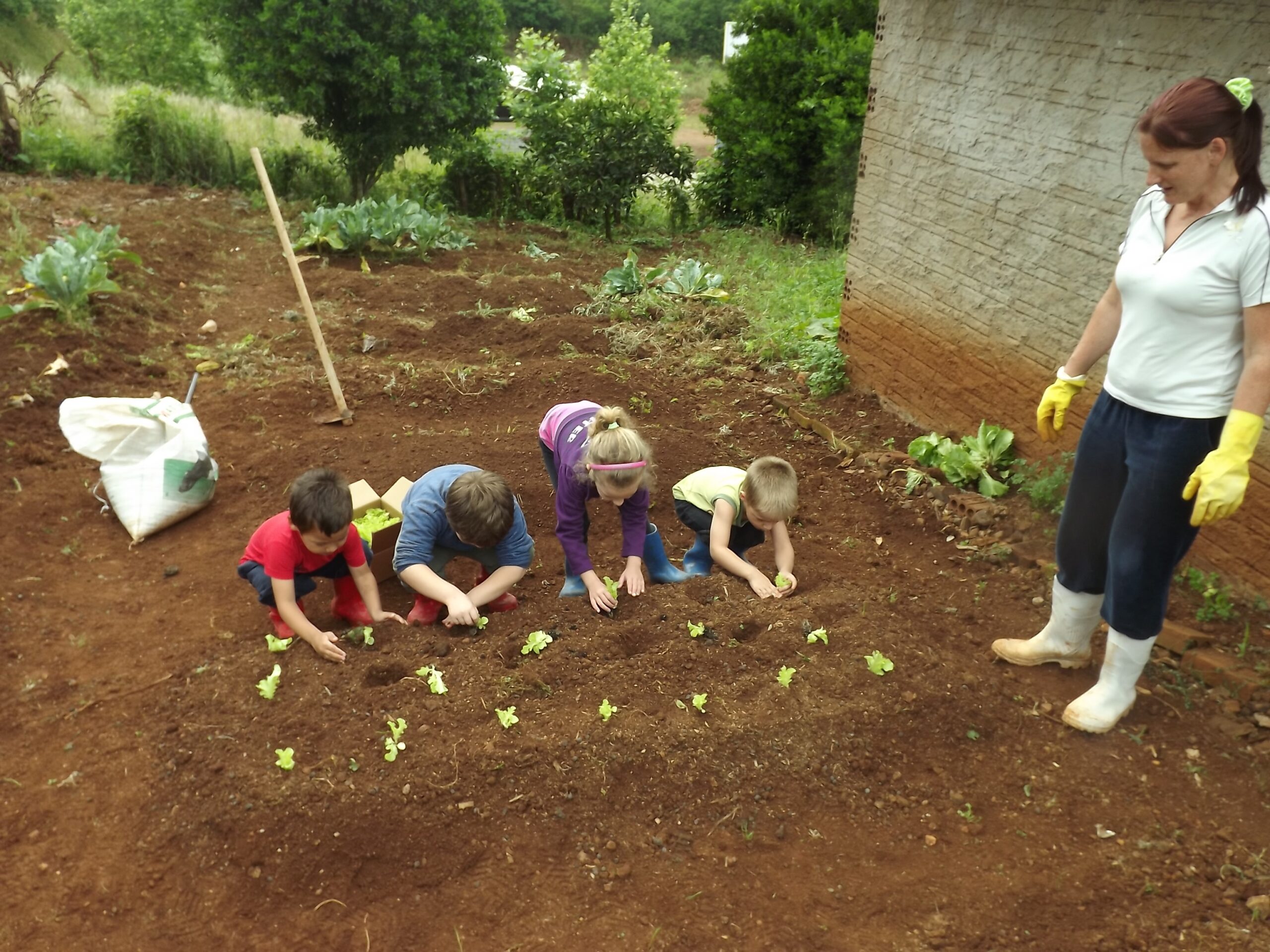 Plantio de hortaliças foi realizado pelos próprios alunos do contraturno, com a supervisão dos professores