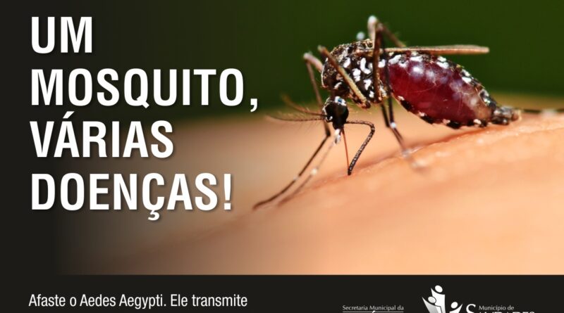 Combate à dengue