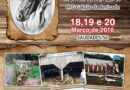 22º Rodeio Crioulo Interestadual acontece neste final de semana em Saudades