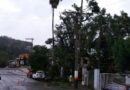 Queda de árvores na Rua Marcílio Dias, afetando a rede elétrica no local